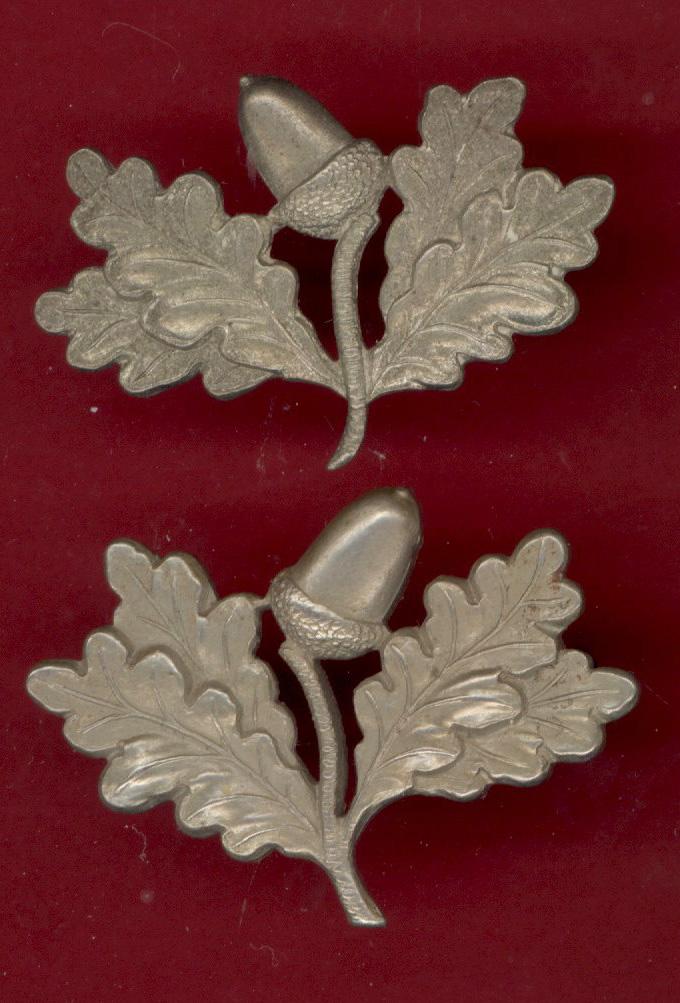 South Nottinghamshire Hussars OR's collar badges