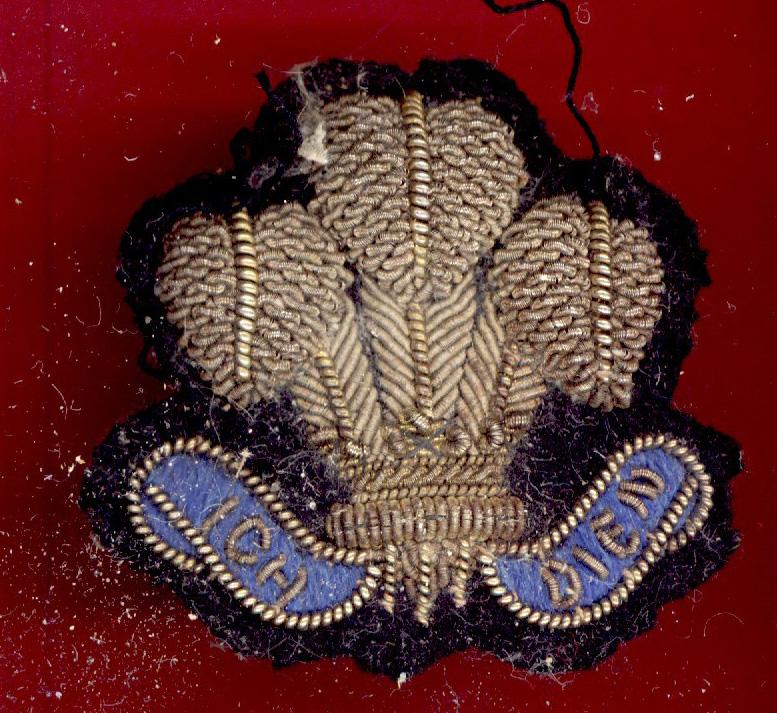 Royal Scots Dragoon Guards P.O.W. arm badge