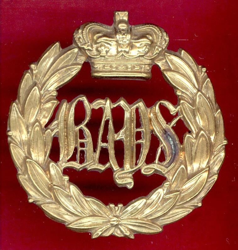 2nd Dragoon Guards , Queen's Bays Victorian ORs pagri badge