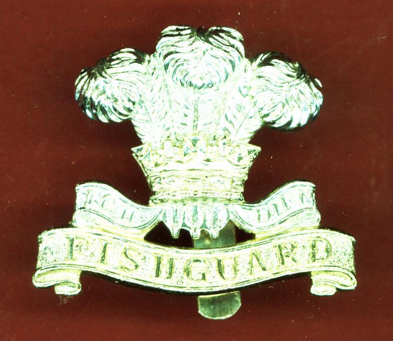 Welsh Pembroke Yeomanry staybright beret badge