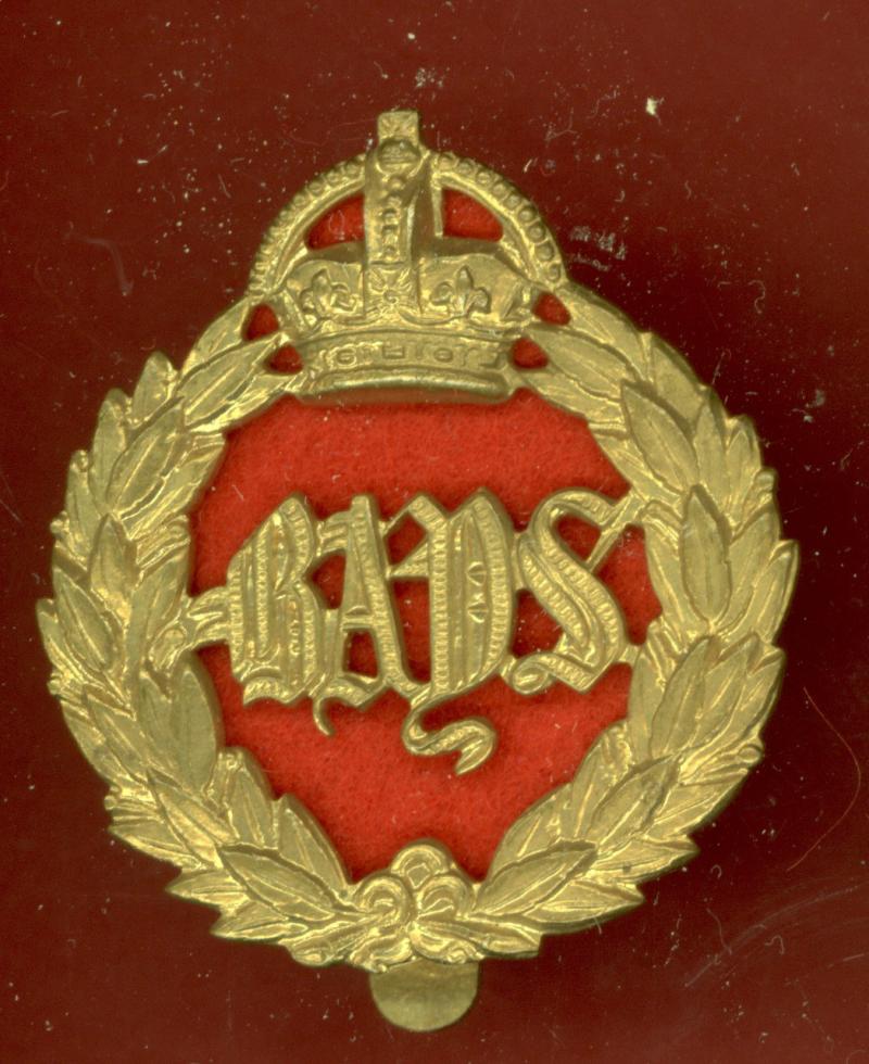 2nd Dragoon Guards ,The Queens Bays OR's cap badge