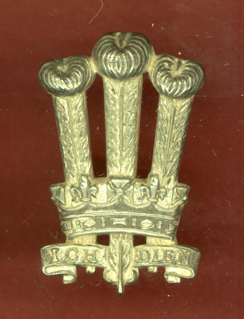 The Welsh Brigade Officer's cap badge