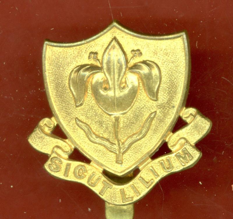 Magdalen College School Oxford O.T.C. cap badge