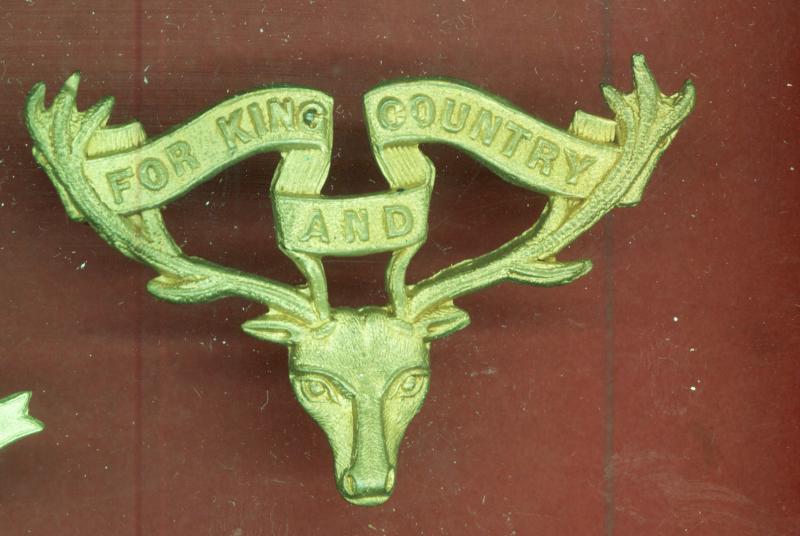 New Zealand 12th Otago Mounted Rifles cap badge