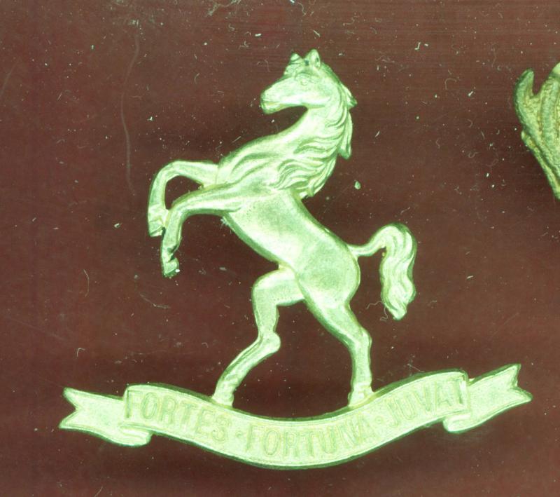 New Zealand 9th Wellington East Coast Mounted Rifles WW1 cap badge