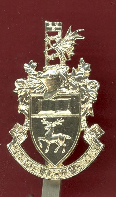 Southampton University O.T.C. staybright cap badge