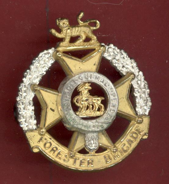 Forester Brigade Officer's cap badge