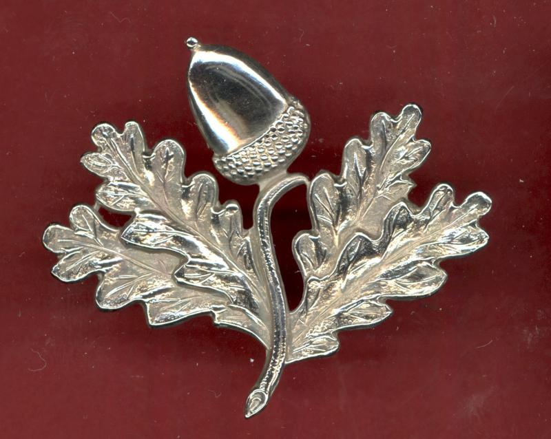 South Nottinghamshire Hussars Yeomanry Officer's cap badge