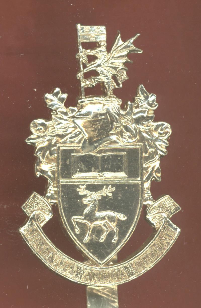 Southampton University OTC staybright cap badge