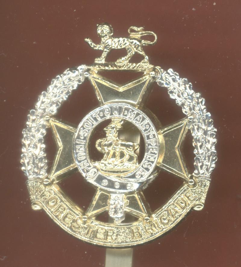 Foresters Brigade staybright cap badge