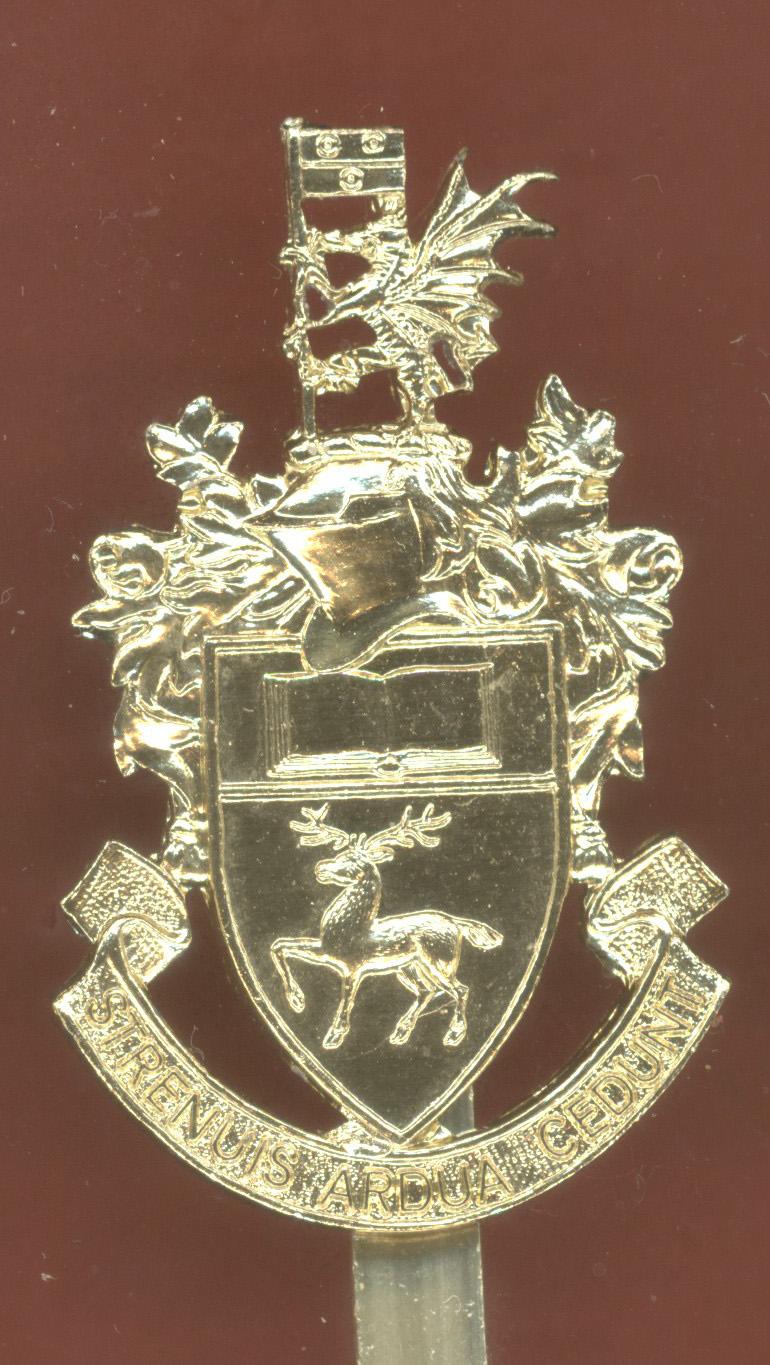 Southampton University OTC staybright cap badge