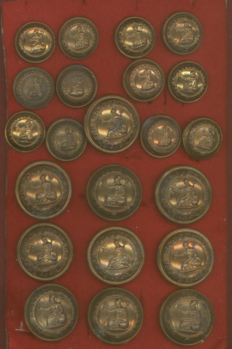 The Norfolk Regiment Officer's Buttons