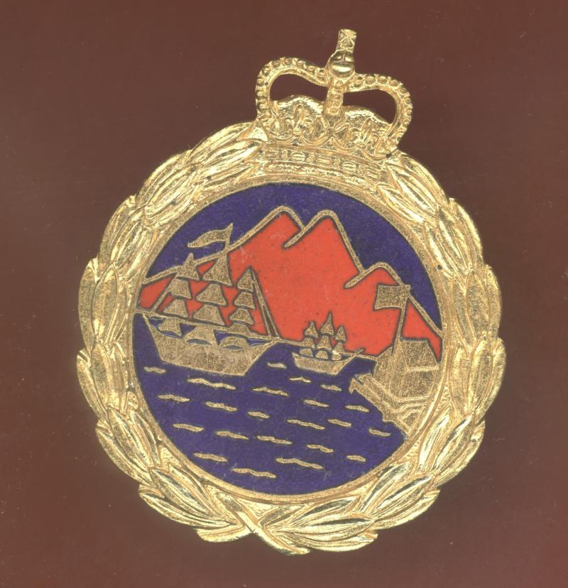 Trinidad & Tobago Fire Service helmet badge