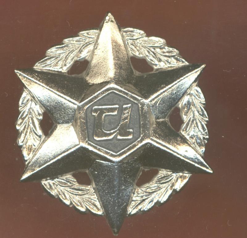 Israeli Police cap badge