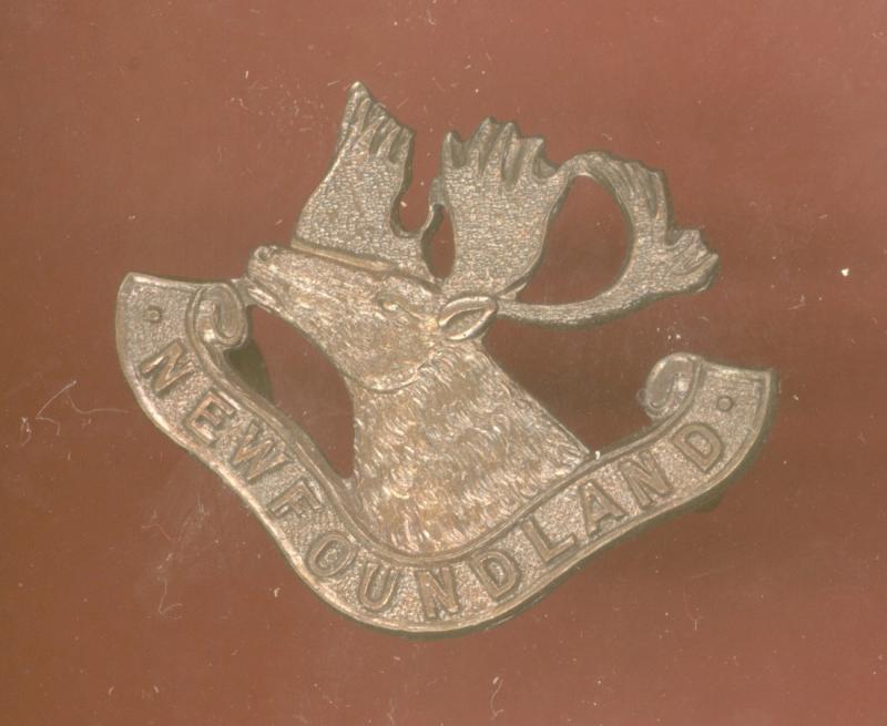 Canadian  Newfoundland Regiment  badge