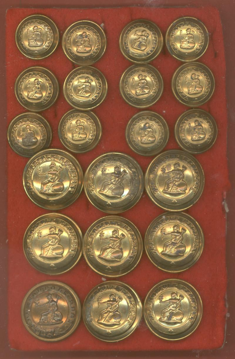 The Norfolk Regiment  Buttons