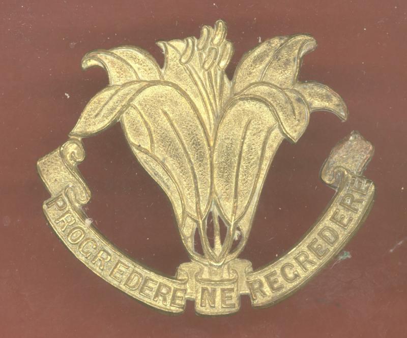 Canadian The Assiniboia Regiment (Saskatchewan) Cap Badge