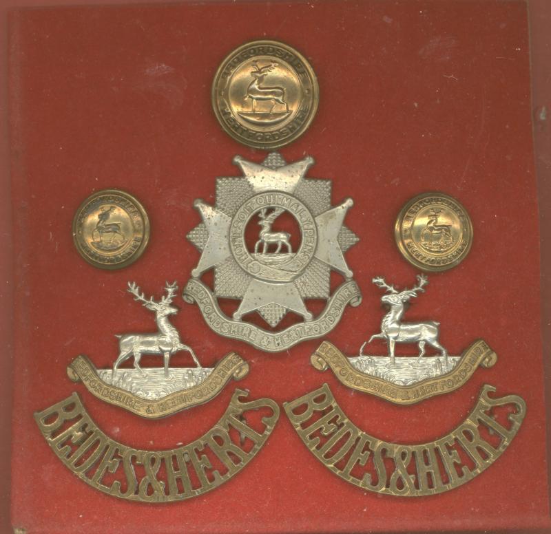 Bedfordshire & Hertfordshire Regiment OR's  badge set