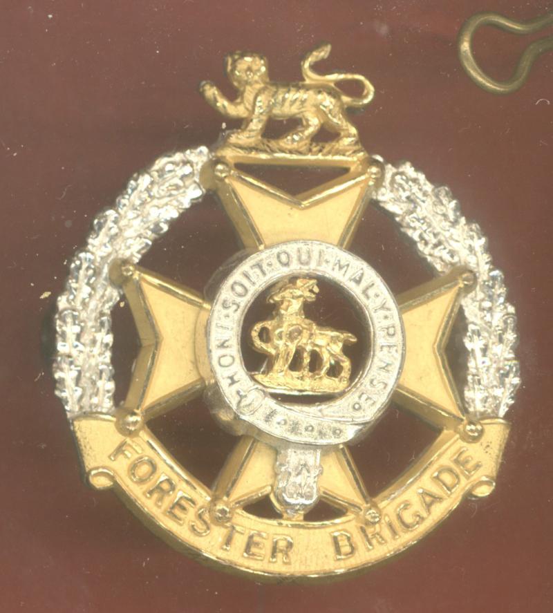 Forester Brigade Officer's cap badge