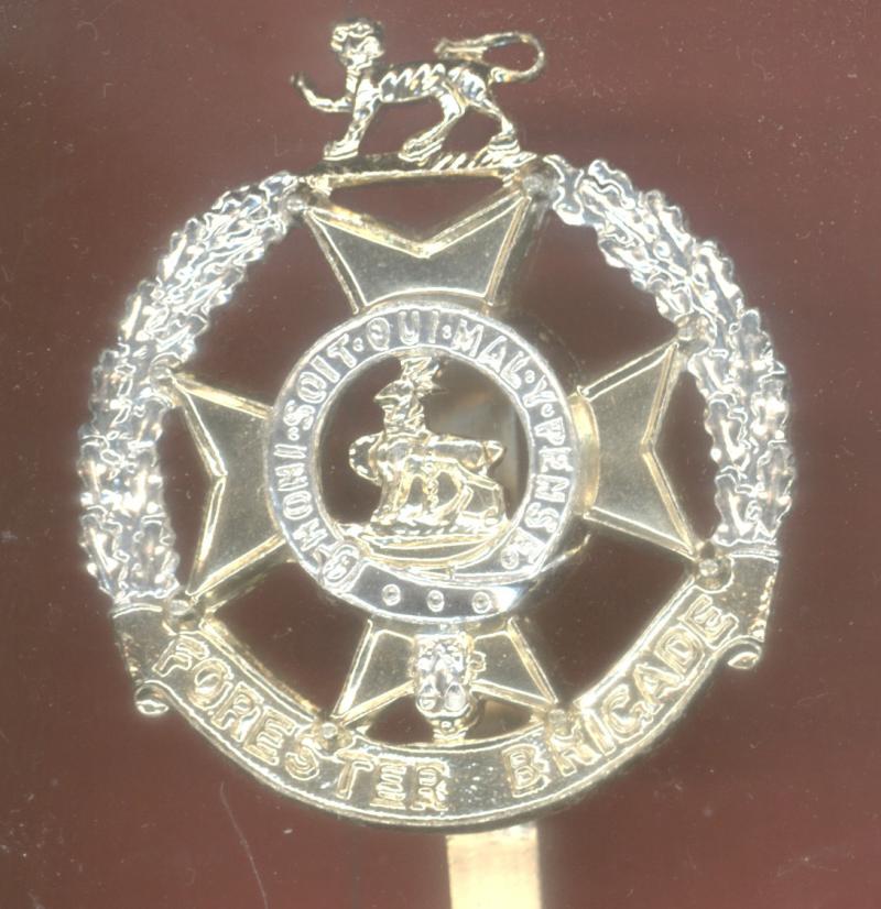 Foresters Brigade staybright cap badge