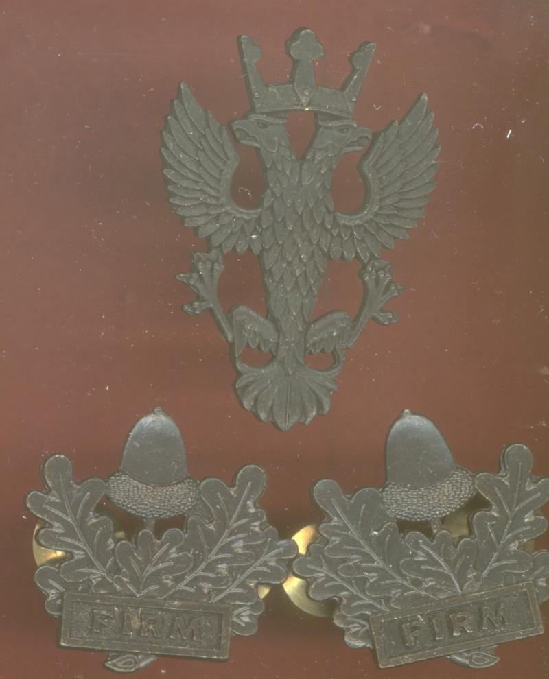 The Mercian Regiment Officer's / All Ranks cap & collar badges