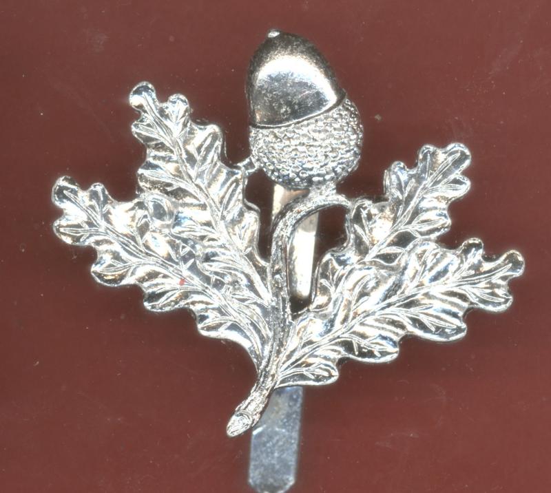 South Nottinghamshire Hussars staybright cap badge